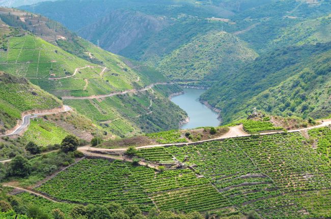 allariz and ribeira sacra june 09 053.jpg
